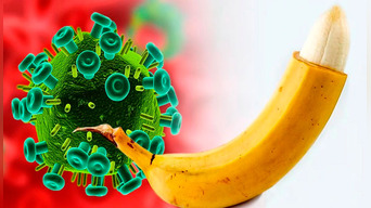 Descubren bacterias en el prepucio que aumentan el riesgo de contagio de VIH