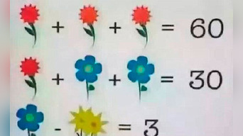 ¿Cuál es la respuesta correcta? El acertijo de las flores que solo un 9 % logra resolver