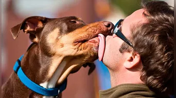 Los besos de tu perro son saludables ¡Lo afirma la ciencia!