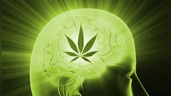 La marihuana y la ayahuasca podrían ser la cura del Alzheimer, según la ciencia