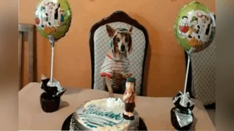 Se desconoce el nombre del can festejado, pero es un hecho que la pasó muy bien el día de su cumpleaños.
