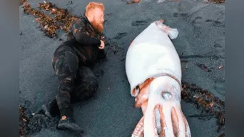 Tres hermanos hallaron un calamar de más de cuatro metros en una playa de Nueva Zelanda