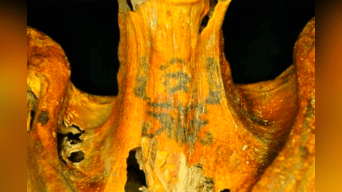 Investigadores revelaron que los 30 tatuajes de la momia se encuentran repartidos entre los hombros, el cuello, la espalda y los brazos del cuerpo