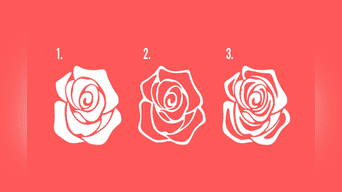 La rosa que elijas te revelará el rumbo que tomará tu fin de año ¿Te atreves a hacerlo? 