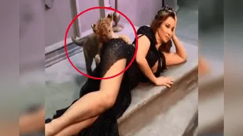 Presentadora de programa erótico es mordida por león en “lugar prohibido".