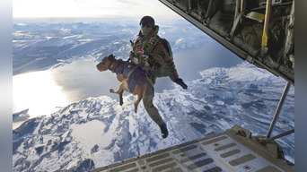 ¡Increíble hazaña canina! Perros se lanzan en paracaídas desde un avión (VIDEO)