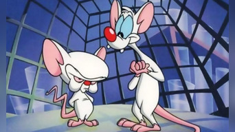 ¡Pinky y Cerebro regresan! La caricatura pronto estará vía streaming