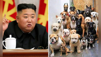 Kim Jong-un ordena a norcoreanos a entregar sus perros para que sean alimento