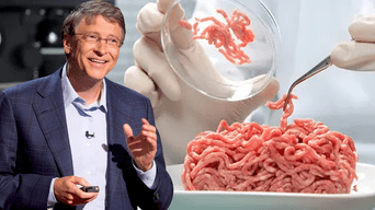 Bill Gates y su proposición del consumo de la carne sintética.