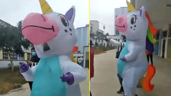Mujer vota vestida de unicornio y genera risas en las redes sociales.