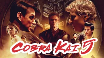 Netflix: Cobra Kai confirma la producción de una quinta temporada | Foto: Netflix