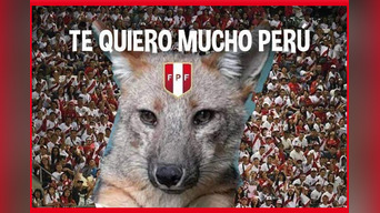 Run Run' peruano: el nuevo meme para celebrar los triunfos de la Blanquirroja