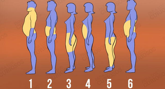 6 zonas del cuerpo donde acumulas grasa y las formas de perderla