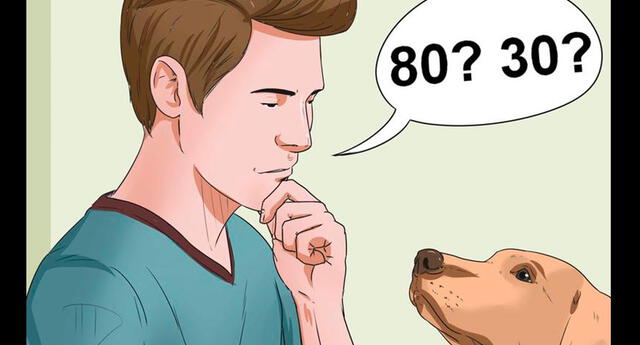 ¿Cuál es la edad de tu perro o gato? El mito del 7 - 1 no es totalmente cierto 