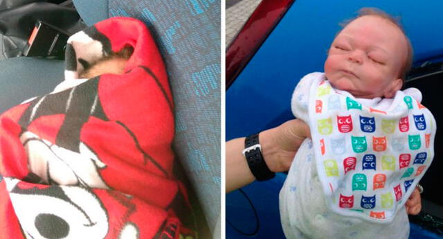 Rompió el vidrio de un auto para rescatar a un bebé, pero se llevó terrible sorpresa
