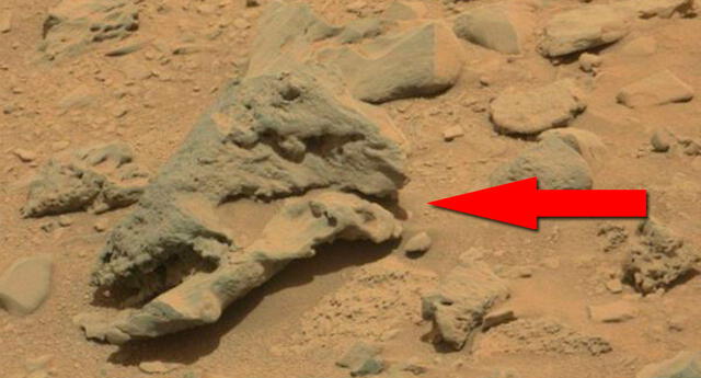 Una foto de la NASA causa revuelo porque ‘cráneo de dinosaurio’ hallado en Marte