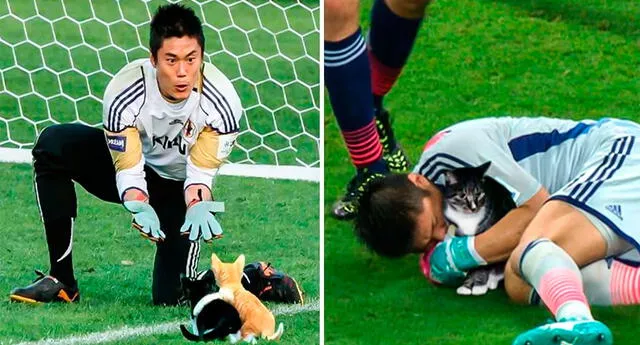 Usaron Photoshop y trolearon a futbolistas, reemplazaron pelotas por gatos