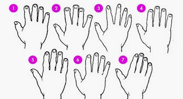 Quirología: Lo que tu mano dice de tu personalidad, según la ciencia