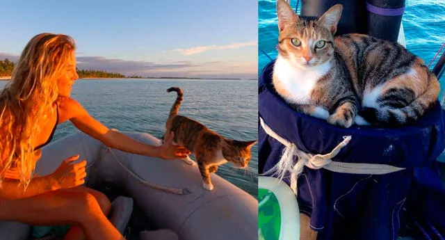 Ella rescató a un gata y ahora viaja con ella por todo el mundo en bote 