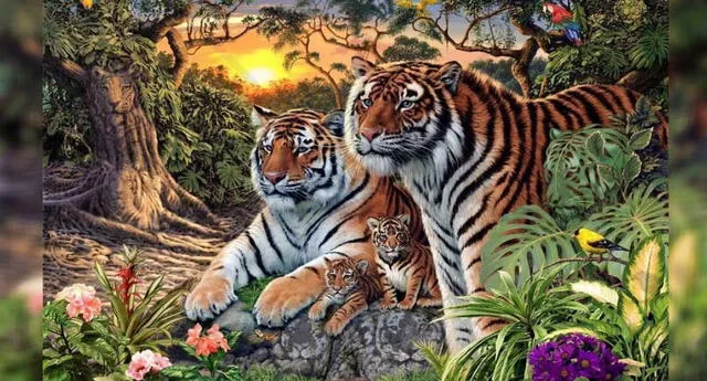 ¿Cuántos tigres puedes ver?