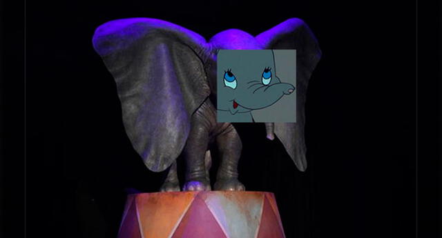 Dumbo regresará para hacer volar a todos sus fans si no logran mejorar su versión.
