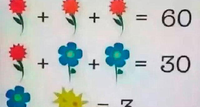 ¿Cuál es la respuesta correcta? El acertijo de las flores que solo un 9 % logra resolver