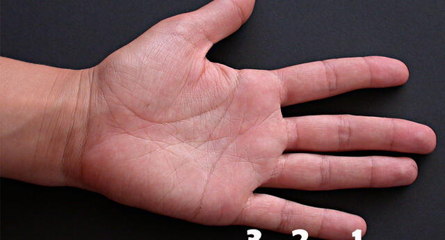 Descubre aquí qué significa el largo de tu dedo meñique