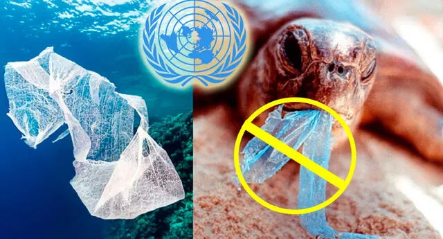ONU afirma que las ‘bolsas biodegradables’ no ayudan en la preservación del planeta