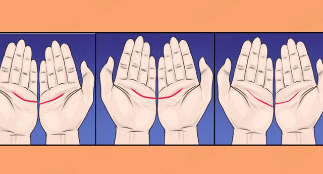 La lectura de las manos puede ser realizada por uno mismo conociendo los pasos