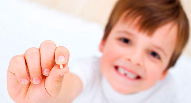 ¿Guardar los dientes de leche de tus hijos podría salvarles la vida en el futuro?