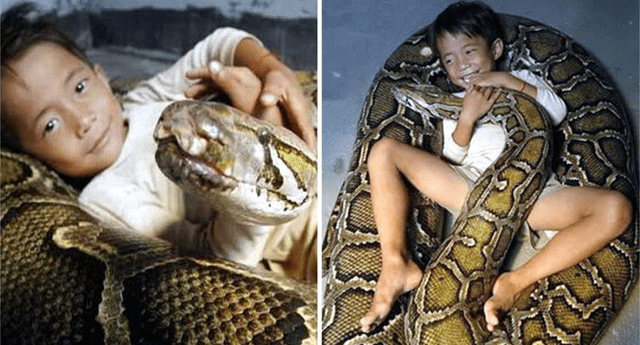 Niño causa el asombro del mundo, por su estrecha relación con una anaconda. 