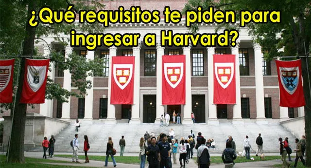 Si tu sueño es estudiar en Harvard, no pierdas la oportunidad