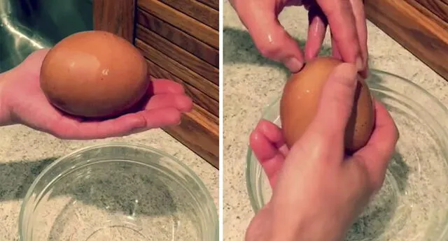 Descubrió que su gallina puso un huevo enorme, cuando lo abrió se llevó una gran sorpresa