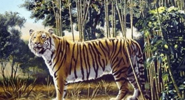 En la imagen hay un tigre muy bien oculto que te hará pensar más de lo que crees.