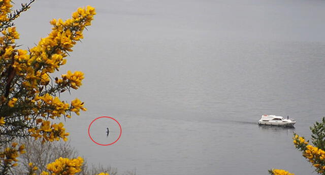 Turista habría captado  al monstruo del Lago Ness, publicó video en Youtube y es viral