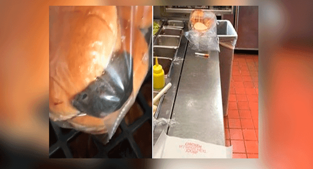Una trabajadora de un local de hamburguesas en EE.UU. grabó el momento en el que encuentra un ratón vivo dentro de un paquete de panes