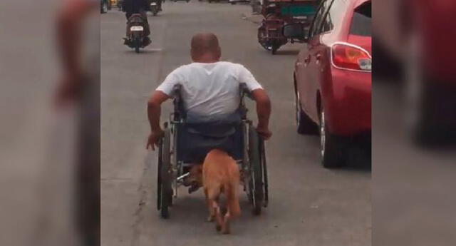 Una usuaria registró cómo el can ayudaba a su amo por las calles.