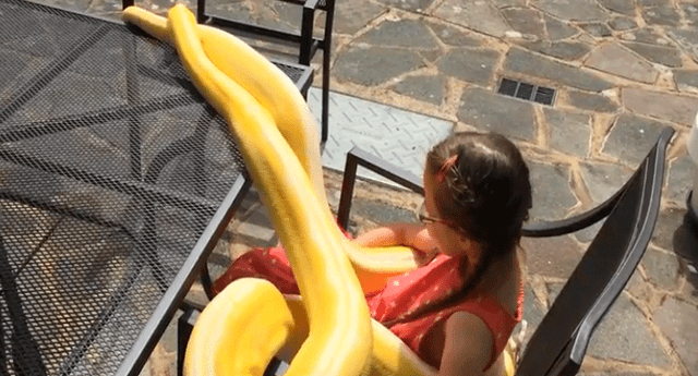 Niña sorprende a internautas jugando y abrazando a una enorme serpiente pitón