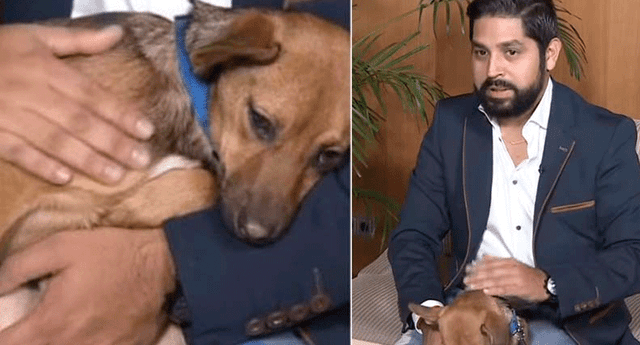 Ricardo Lazo contó que logró finalizar los trámites para poder adoptar a cachorra que encontró en Rusia