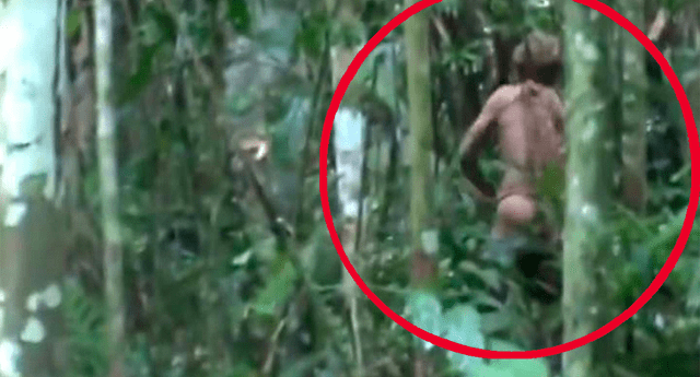 Se descubrió un hombre en medio de la selva y su aspecto sorprendió.