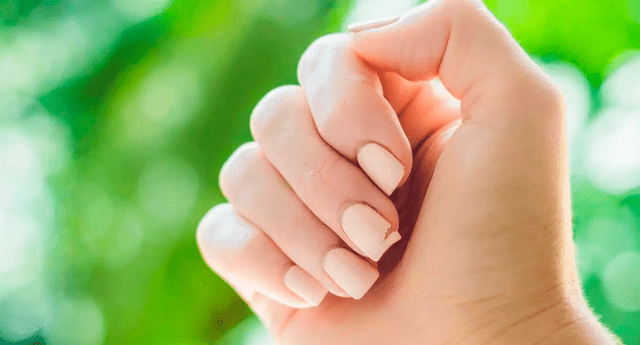 El ajo es uno de los ingredientes más populares para el cuidado y crecimiento natural de las uñas.