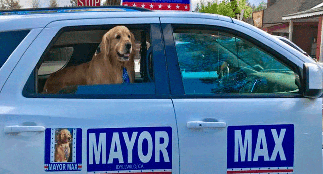 No es la primera vez que Max gana como alcalde del pueblo.