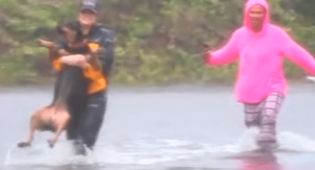 Periodista dejó por un momento su trabajo para socorrer a un perro en medio de tormenta Florence.