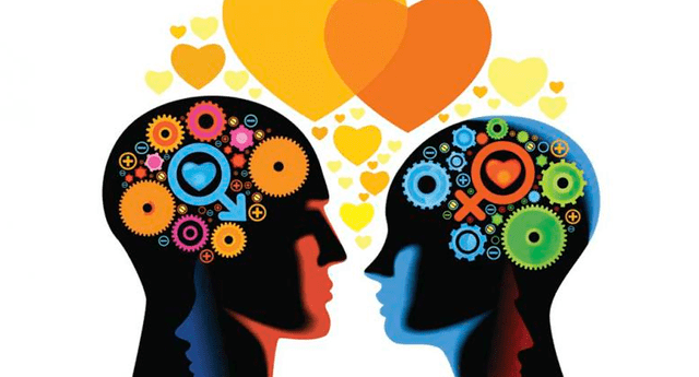Helen Fisher, autora de "Por qué amamos”, explica que hay sustancias químicas y estructuras específicas del cerebro que participan en el enamoramiento.