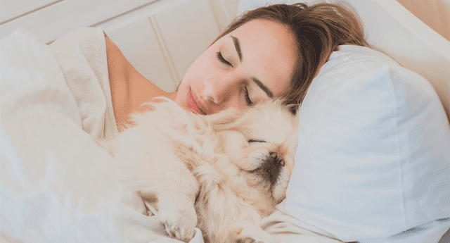 Científicos comprobaron que las mujeres tienen un sueño más placentero con sus perros que con su pareja. 