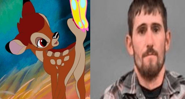 La primera vez que el cazador David Berry tendrá que ver Bambi es el  23 de diciembre de 2018
