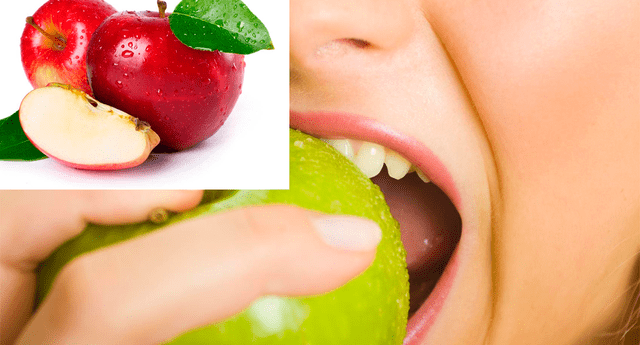 Diurética, antidiarréica y antioxidante. Mira algunos de los beneficios de consumir una manzana al día