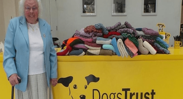 Abuelita dejó de lado a nietos y se esmera en tejer 400 frazadas para perros abandonados .