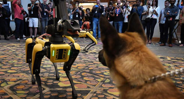 Spot, el perro robot que ya está siendo vendido a todo tipo de empresas y planea llegar a tu hogar (VIDEO)