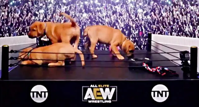 AEW, la rival de WWE presenta su primer